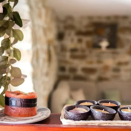 Authentic Dalmatian House Sara Appartamento